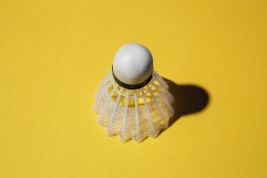 Shuttlecock