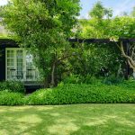 Backyard Rumah yang Nyaman dan Estetik untuk Tempat Bersantai Keluarga