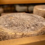 Casu Marzu yang Unik dengan Cerita serta Tradisi di Baliknya